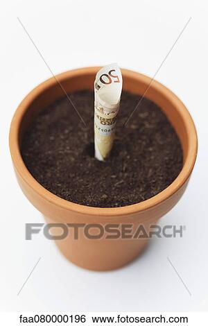 Fifty euro banknote planted in flower pot View Large Photo Image Stock Photograph - Fifty euro banknote planted in flower pot. Fotosearch