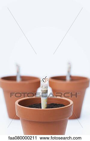 Fifty euro banknotes planted in flower pots View Large Photo Image Stock Image - Fifty euro banknotes planted in flower pots. Fotosearch