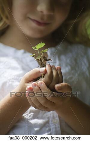 Stock Image - Girl holding seedling, cropped. Fotosearch