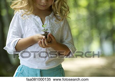 Stock Photography - Girl holding seedling, cropped. Fotosearch