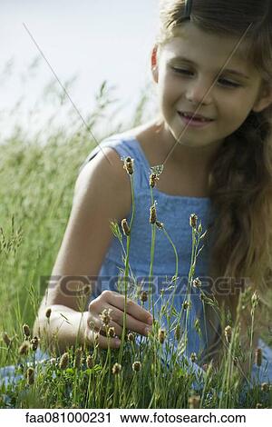 Girl staring at butterfly on wildflower View Large Photo Image Stock Image - Girl staring at butterfly on wildflower. Fotosearch