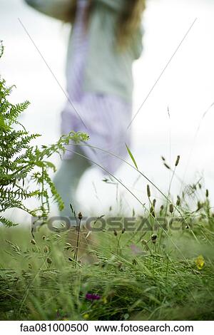 Grass in field View Large Photo Image Stock Image - Grass in field. Fotosearch