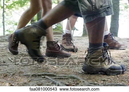 Stock Image - Hikers hiking in woods, low section. Fotosearch