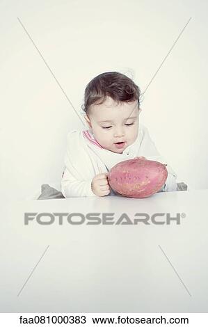 Infant staring at sweet potato, portrait View Large Photo Image Stock Image - Infant staring at sweet potato, portrait. Fotosearch