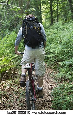 Man riding bicycle through woods, rear view View Large Photo Image Stock Image - Man riding bicycle through woods, rear view. Fotosearch