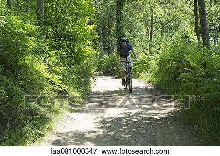 Stock Photo - Man riding bicycle through woods. Fotosearch