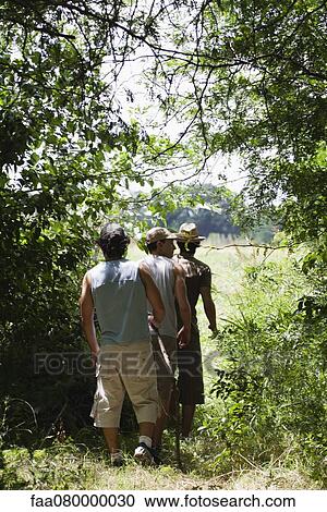 Stock Image - Men hiking in woods, rear view. Fotosearch