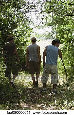 Stock Image - Men hiking in woods, rear view. Fotosearch