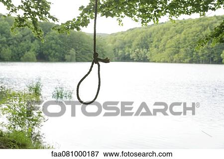 Stock Photo - Noose hanging from tree. Fotosearch