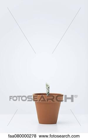 One-hundred dollar bill planted in flower pot View Large Photo Image Stock Photo - One-hundred dollar bill planted in flower pot. Fotosearch