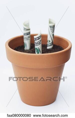 Stock Image - One-hundred dollar bills planted in flower pot. Fotosearch