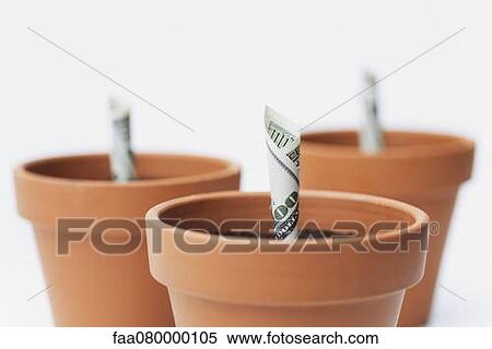 One-hundred dollar bills planted in flower pots View Large Photo Image Stock Photography - One-hundred dollar bills planted in flower pots. Fotosearch