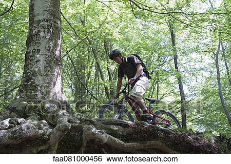 Stock Photograph - Young man riding bicycle in woods, low angle view. Fotosearch