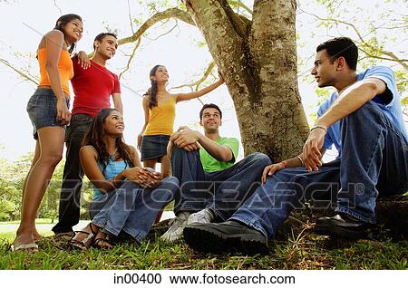Group of young adults in park View Large Photo Image Stock Image - Group of young adults in park. Fotosearch