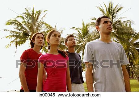 Young adults standing, looking up, trees behind them View Large Photo Image Stock Photography - Young adults standing, looking up, trees behind them. Fotosearch