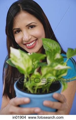 Woman holding potted plant, focus on the background View Large Photo Image Picture - Woman holding potted plant, focus on the background. Fotosearch