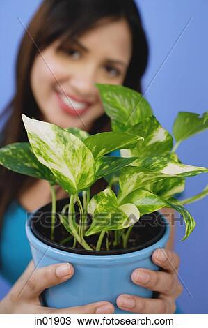 Woman holding potted plant, selective focus View Large Photo Image Stock Image - Woman holding potted plant, selective focus. Fotosearch