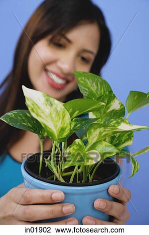 Woman holding potted plant View Large Photo Image Stock Image - Woman holding potted plant. Fotosearch