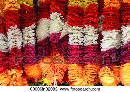 Brightly coloured flower garlands View Large Photo Image Stock Image - Brightly coloured flower garlands. Fotosearch