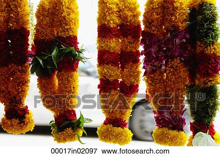 Brightly coloured flower garlands View Large Photo Image Stock Photo - Brightly coloured flower garlands. Fotosearch