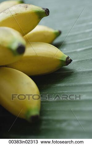 Close-up of bananas View Large Photo Image Stock Image - Close-up of bananas. Fotosearch