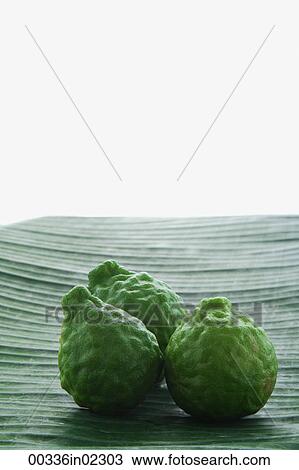 Still life of limes View Large Photo Image Stock Image - Still life of limes. Fotosearch
