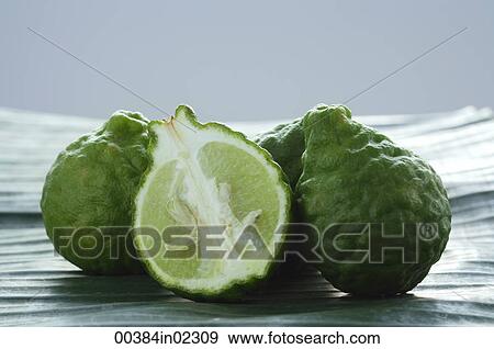 Still life of limes View Large Photo Image Stock Photo - Still life of limes. Fotosearch