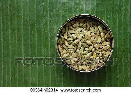 Still life of seeds View Large Photo Image Picture - Still life of seeds. Fotosearch