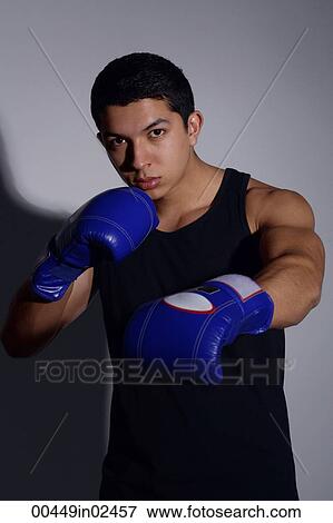 Boxer View Large Photo Image Stock Photo - Boxer. Fotosearch
