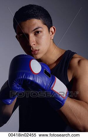Stock Photography - Boxer. Fotosearch