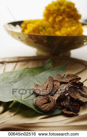 betel nut and leaves with chrysanthemums in background View Large Photo Image Stock Photograph - betel nut and leaves with chrysanthemums in background. Fotosearch