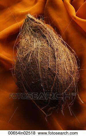 coconut with shell on top of draped cloth View Large Photo Image Stock Photo - coconut with shell on top of draped cloth. Fotosearch