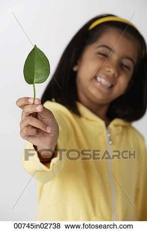 Girl holding leaf View Large Photo Image Stock Photo - Girl holding leaf. Fotosearch