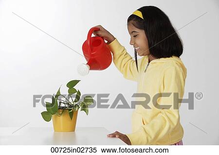 Girl watering plant View Large Photo Image Stock Photography - Girl watering plant. Fotosearch