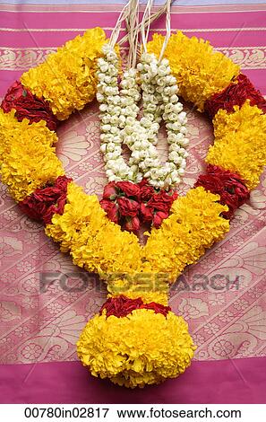 Flower garlands on pink Sari View Large Photo Image Stock Photo - Flower garlands on pink Sari. Fotosearch