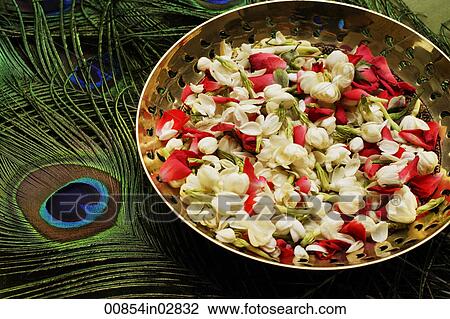 Flower petals in bronze bowl, with peacock feathers View Large Photo Image Stock Image - Flower petals in bronze bowl, with peacock feathers. Fotosearch