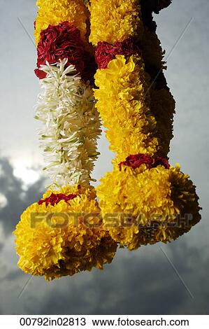 Hanging flower garlands against cloudy sky. View Large Photo Image Stock Image - Hanging flower garlands against cloudy sky.. Fotosearch