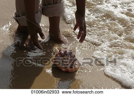 Cropped shot of boy picking up sea shell on the sand View Large Photo Image Stock Image - Cropped shot of boy picking up sea shell on the sand. Fotosearch