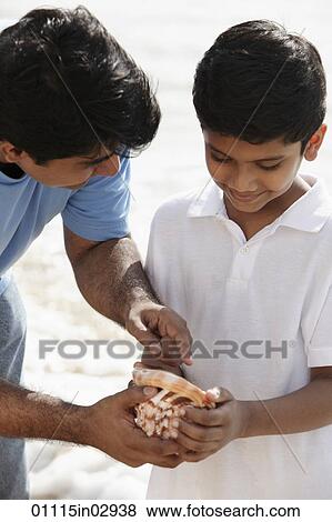 Father and son looking at sea shell together View Large Photo Image Stock Photo - Father and son looking at sea shell together. Fotosearch