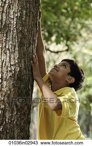 Young boy trying to climb a tree View Large Photo Image Stock Image - Young boy trying to climb a tree. Fotosearch