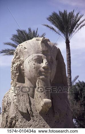 Alabaster Sphinx Memphis Egypt View Large Photo Image Stock Image - Alabaster Sphinx Memphis Egypt. Fotosearch