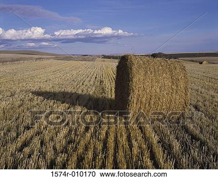 Alberta Canada View Large Photo Image Stock Image - Alberta Canada. Fotosearch