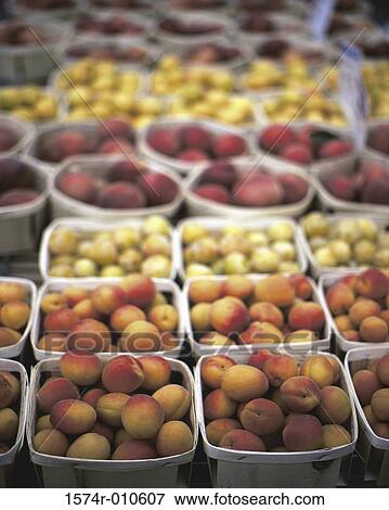 Stock Photo - Apricots. Fotosearch