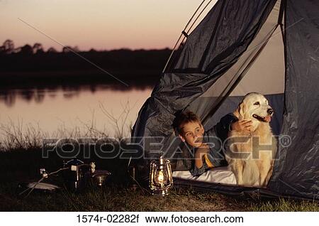 Boy camping in a tent with his dog View Large Photo Image Stock Image - Boy camping in a tent with his dog. Fotosearch