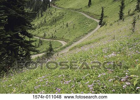 British Columbia Canada View Large Photo Image Stock Photo - British Columbia Canada. Fotosearch