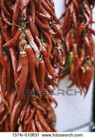 Chili Peppers View Large Photo Image Stock Image - Chili Peppers. Fotosearch