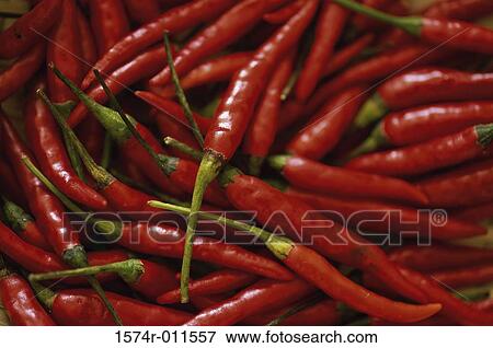 Stock Photo - Chili Peppers. Fotosearch