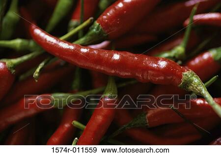 Chili Peppers View Large Photo Image Stock Photo - Chili Peppers. Fotosearch