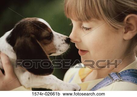Close-up of a girl holding her puppy View Large Photo Image Stock Image - Close-up of a girl holding her puppy. Fotosearch
