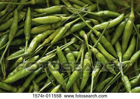 Close-up of a heap of green chili peppers View Large Photo Image Stock Photo - Close-up of a heap of green chili peppers. Fotosearch
